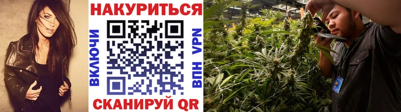 omg онион Мыски Бошки марихуана OG Kush